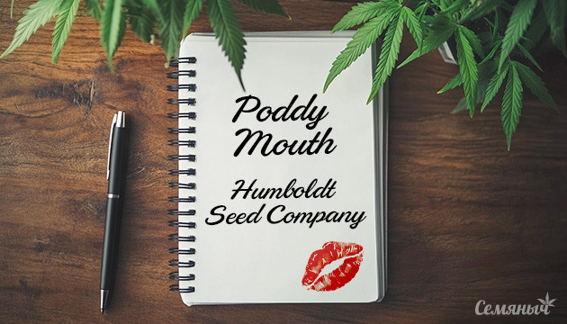 Гроурепорт сорта Poddy Mouth fem от Humboldt Seed Company